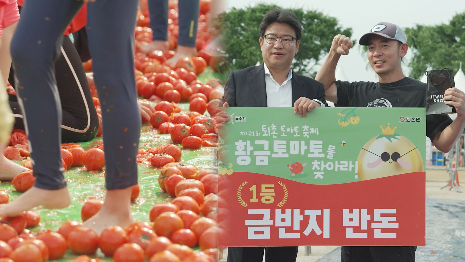 '황금 토마토'를 찾아라…경기 <em class='find'카지노 꽁 머니</em 퇴촌 토마토 축제 개막